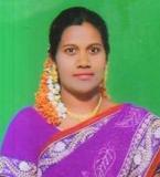 shekhanbee