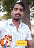 G.kattebasappa